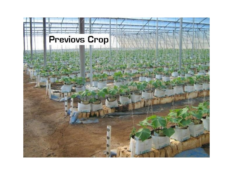 L1&86/101 Fallons Rocks Road, Calavos QLD 4670