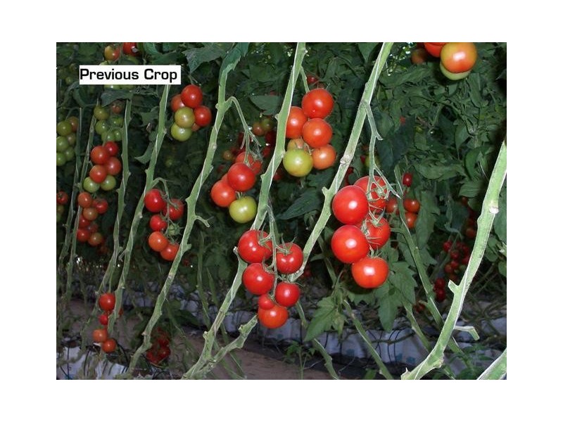 L1&86/101 Fallons Rocks Road, Calavos QLD 4670