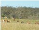 694 River Road, Bungadoo QLD 4671