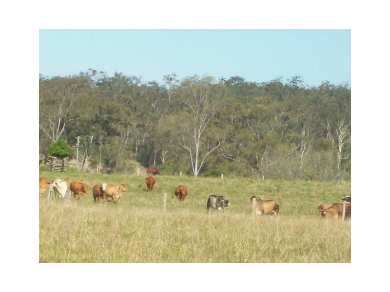 694 River Road, Bungadoo QLD 4671