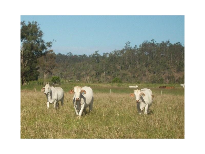 694 River Road, Bungadoo QLD 4671