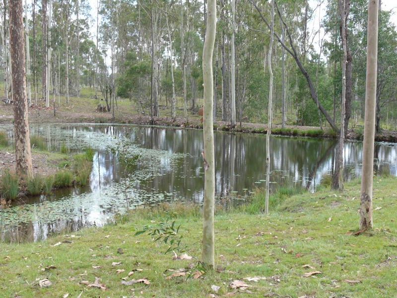 50 Myers Road, Moolboolaman QLD 4671