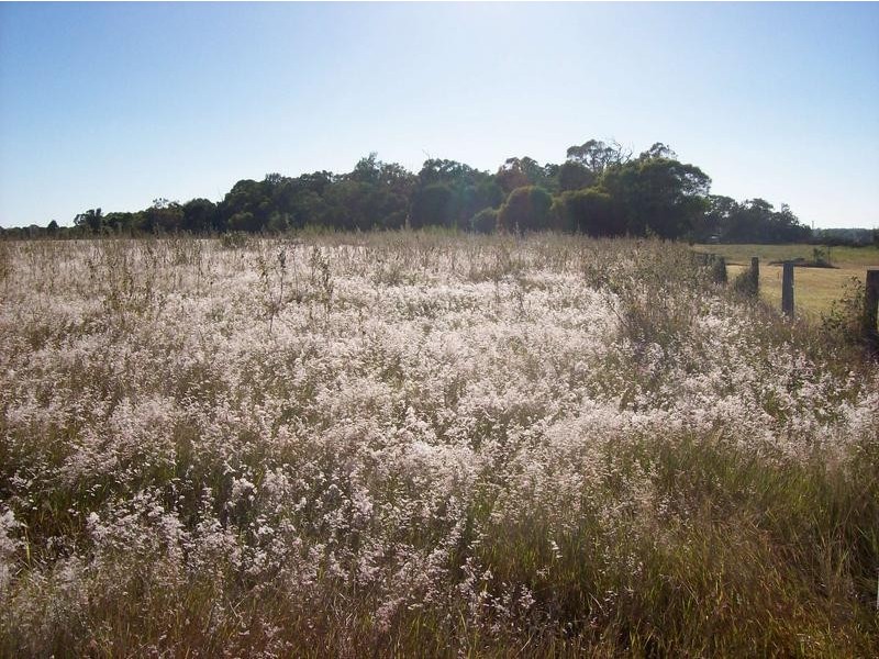 Lot 105 Riverview Road, Elliott Heads QLD 4670