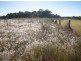 Lot 105 Riverview Road, Elliott Heads QLD 4670