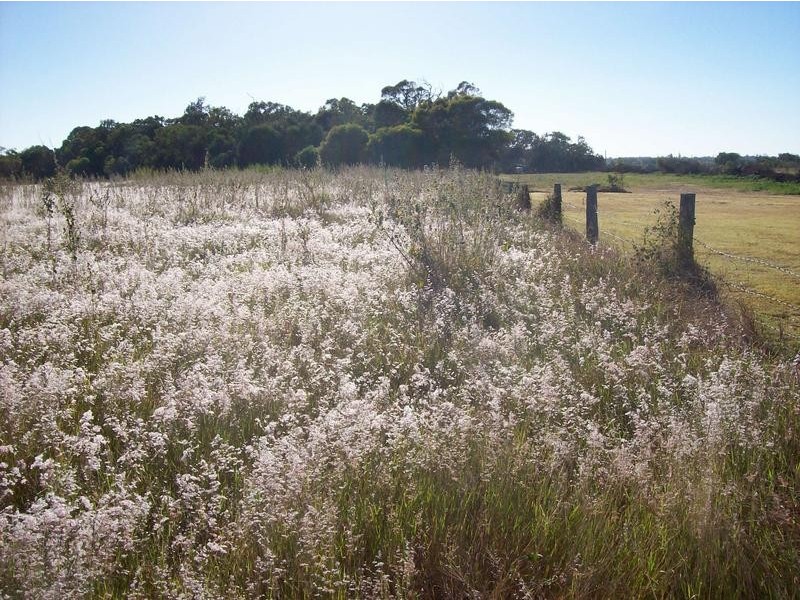 Lot 105 Riverview Road, Elliott Heads QLD 4670