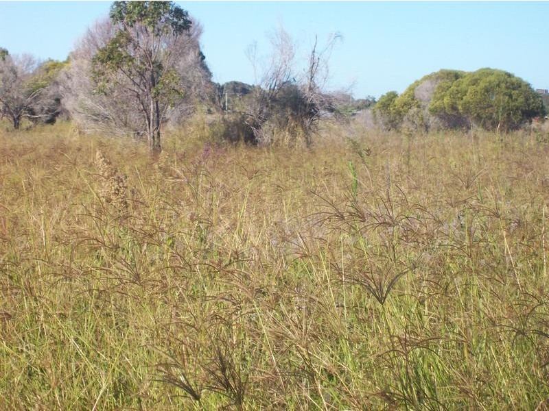 Lot 105 Riverview Road, Elliott Heads QLD 4670