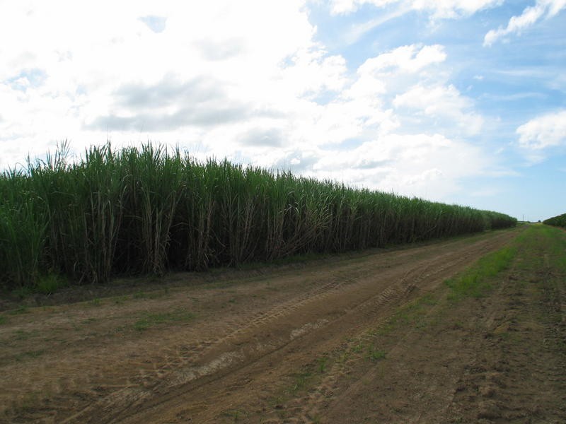Welcome Creek QLD 4670
