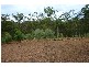 90 Crows Ash Road, Pullenvale QLD 4069