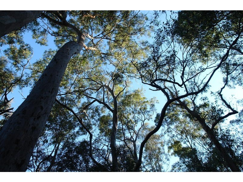 1005 Haven Road, Upper Brookfield QLD 4069