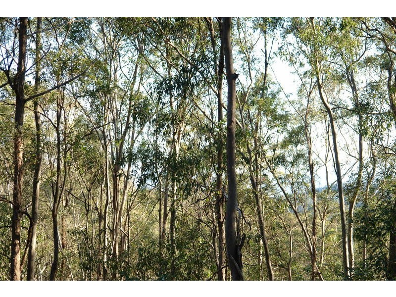 1005 Haven Road, Upper Brookfield QLD 4069