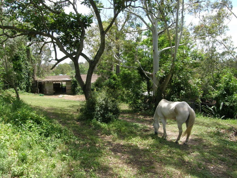 41 Stratford Street, Moggill QLD 4070