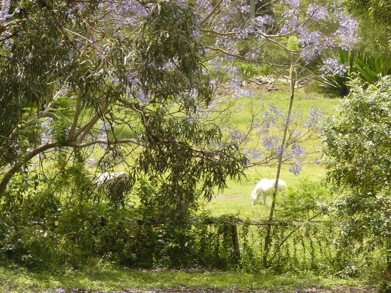 41 Stratford Street, Moggill QLD 4070