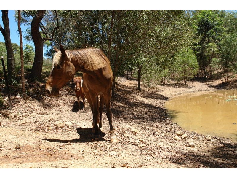 230B Sugars Road, Anstead QLD 4070