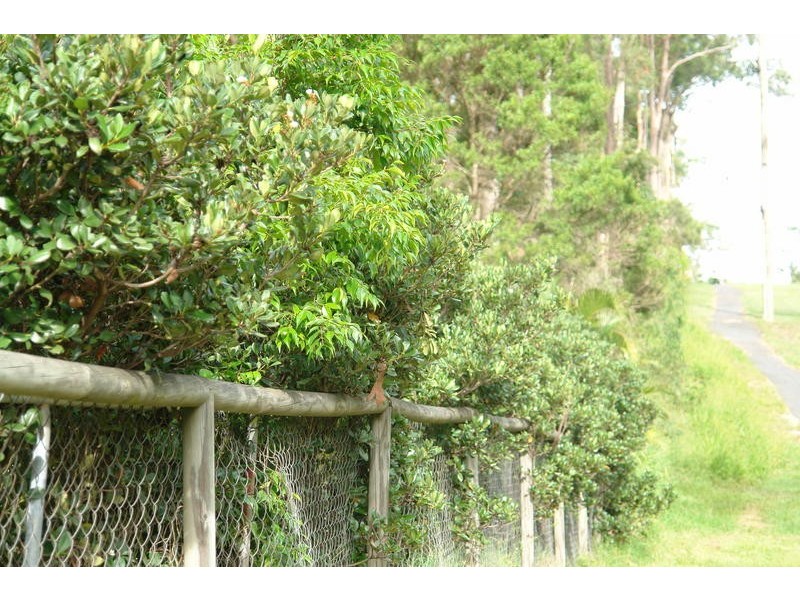 42 Sugars Road, Bellbowrie QLD 4070