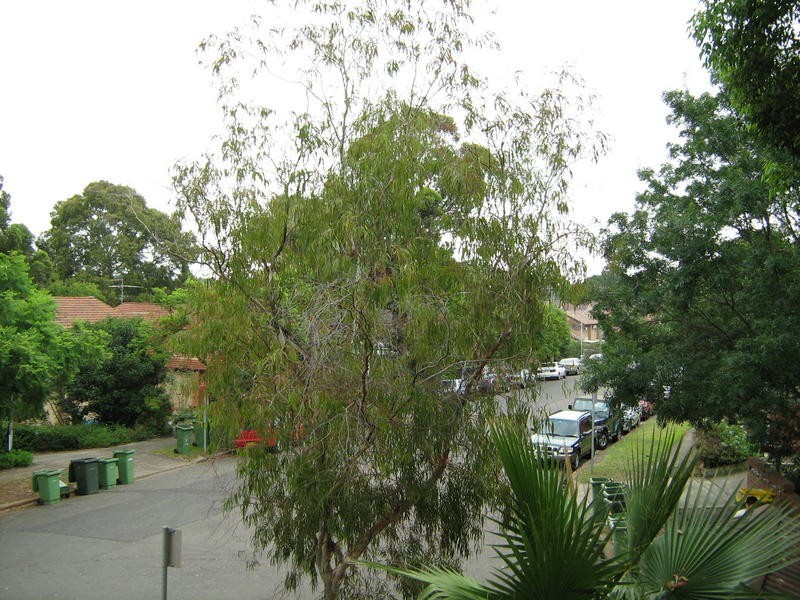 Parramatta NSW 2150