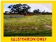 Wynnum West QLD 4178