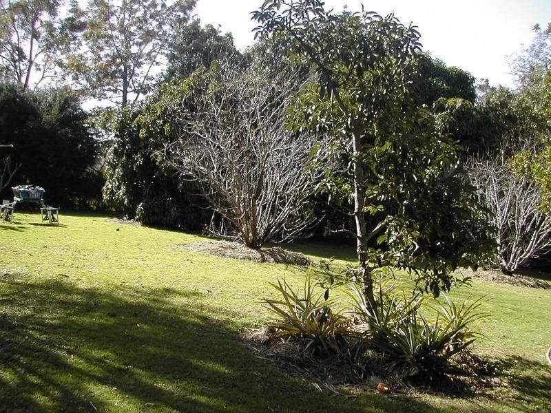 Mooloolah Valley QLD 4553