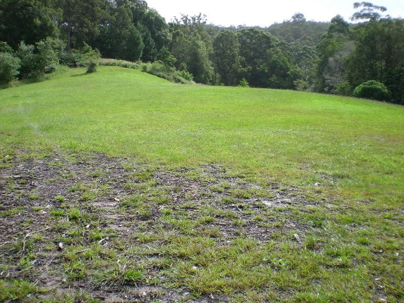 Diamond Valley QLD 4553