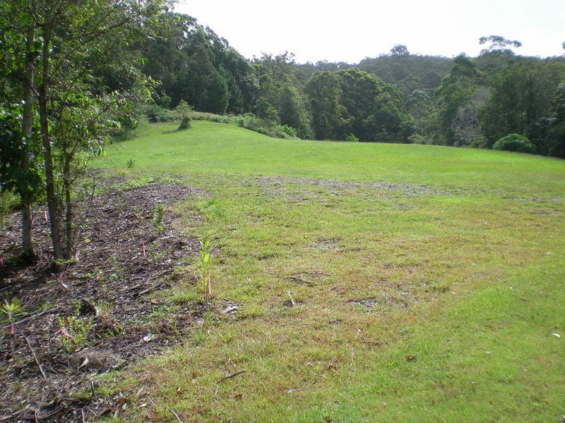 Diamond Valley QLD 4553