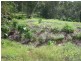 Diamond Valley QLD 4553