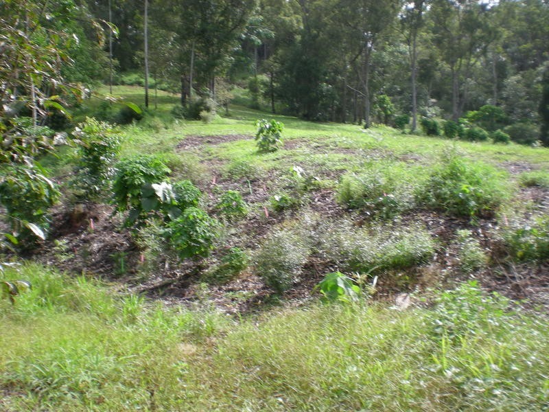 Diamond Valley QLD 4553