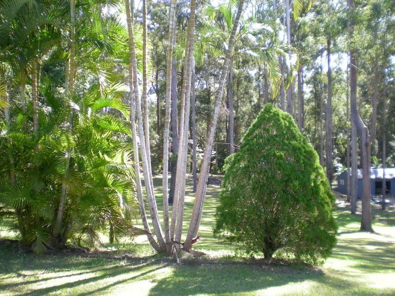 59 Nina Drive, Palmview QLD 4553