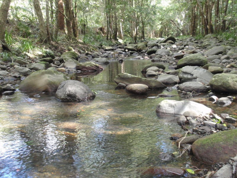 86 Harris Road, Diamond Valley QLD 4553