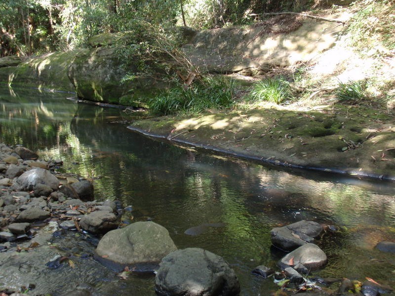 86 Harris Road, Diamond Valley QLD 4553