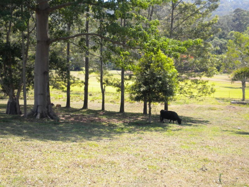 436 Glenview Road, Glenview QLD 4553