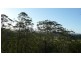 Rosemount QLD 4560