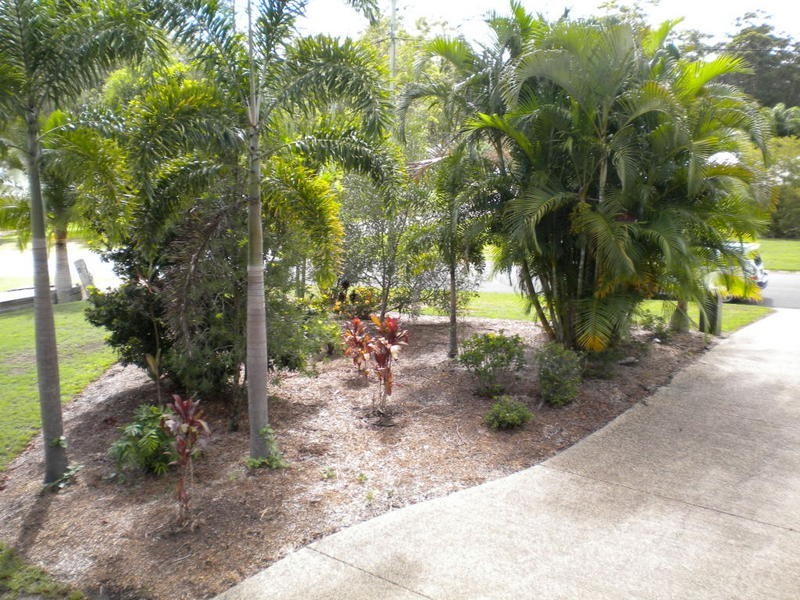 53 Nina Drive, Palmview QLD 4553