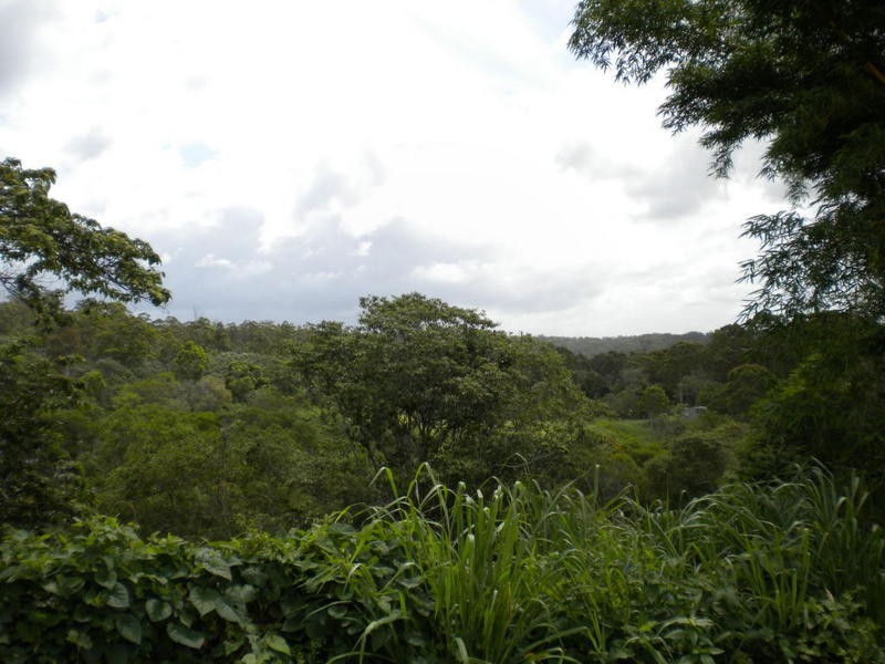 Buderim QLD 4556