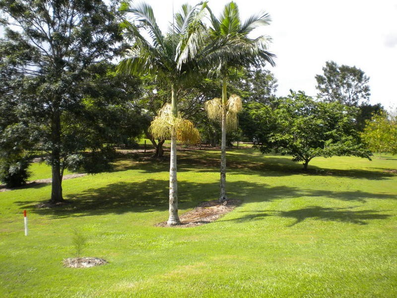 4a Brenda Court, Mooloolah Valley QLD 4553