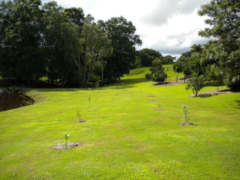 4a Brenda Court, Mooloolah Valley QLD 4553