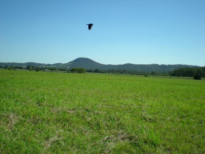 163 Zgrajewski Road, Yandina Creek QLD 4561