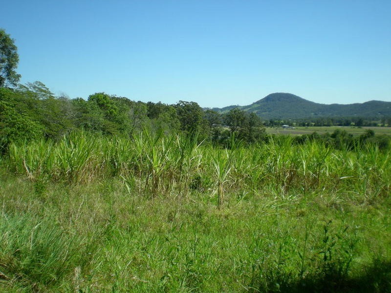 163 Zgrajewski Road, Yandina Creek QLD 4561