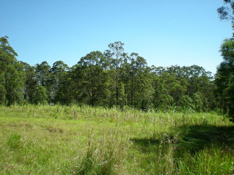163 Zgrajewski Road, Yandina Creek QLD 4561