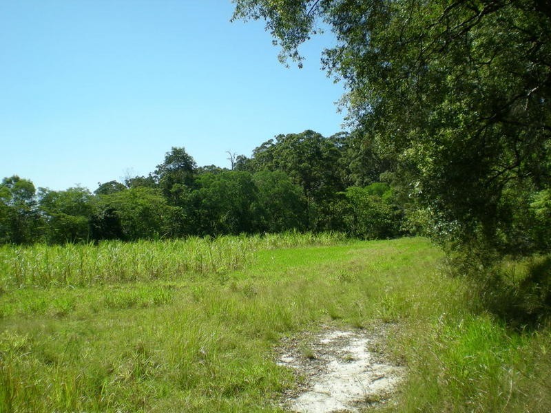 163 Zgrajewski Road, Yandina Creek QLD 4561