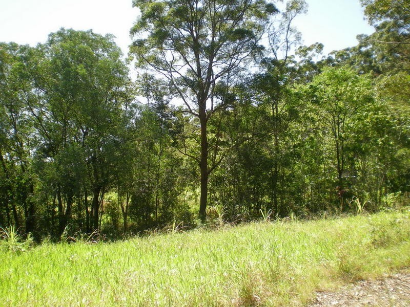 163 Zgrajewski Road, Yandina Creek QLD 4561