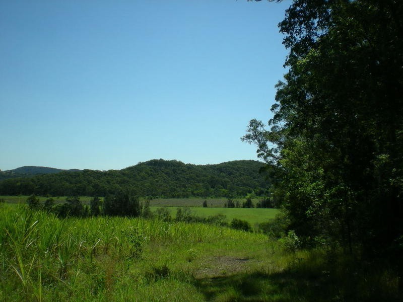 163 Zgrajewski Road, Yandina Creek QLD 4561