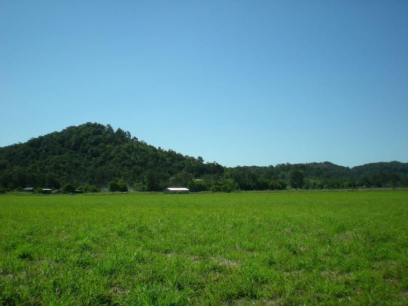 163 Zgrajewski Road, Yandina Creek QLD 4561