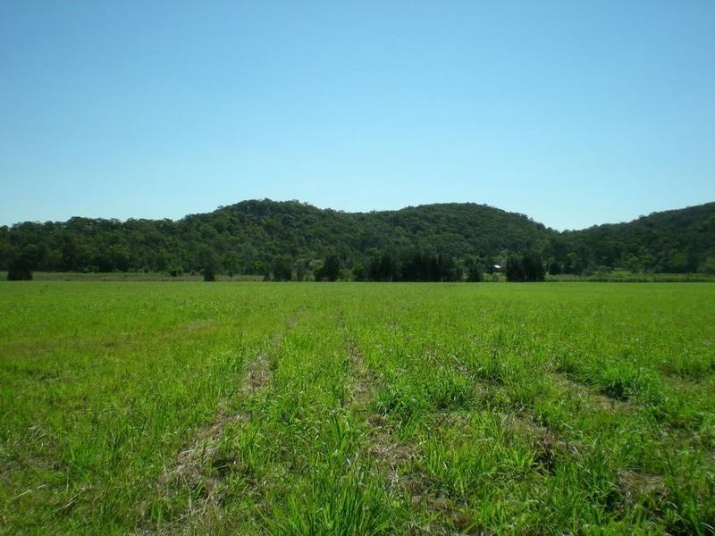 163 Zgrajewski Road, Yandina Creek QLD 4561