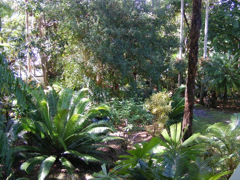 183 Glenview Road, Glenview QLD 4553