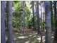 183 Glenview Road, Glenview QLD 4553