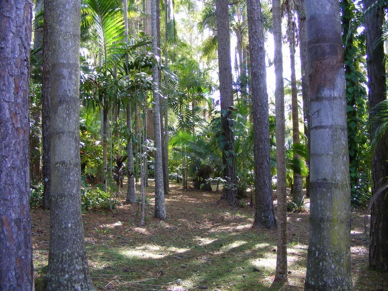 183 Glenview Road, Glenview QLD 4553