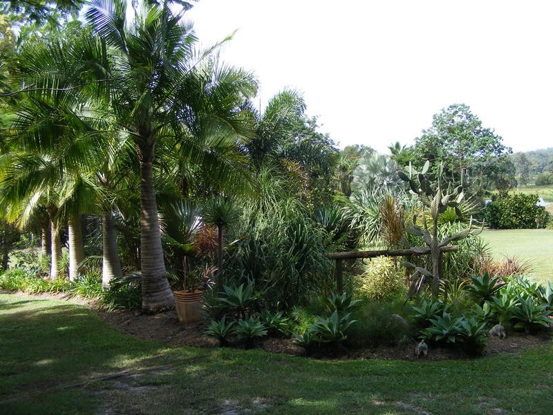 183 Glenview Road, Glenview QLD 4553