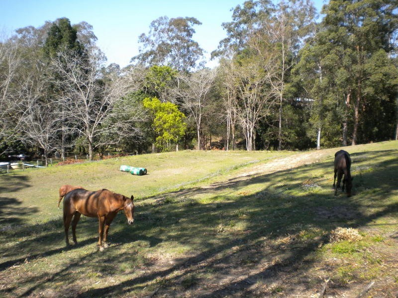 Diamond Valley QLD 4553