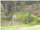 Glenview QLD 4553