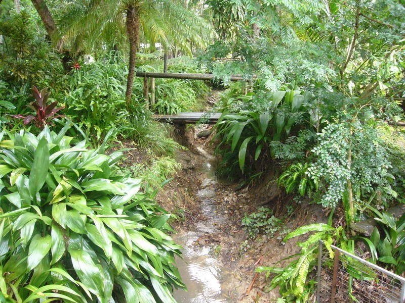 25 Evans Grove Road, Glenview QLD 4553