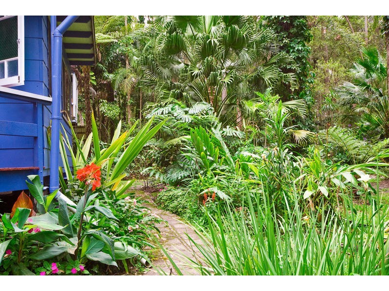 Palmwoods QLD 4555